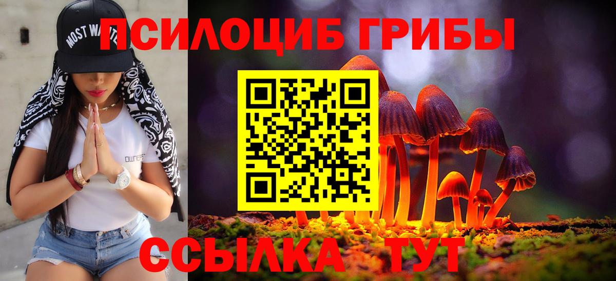 Галлюциногенные грибы GOLDEN TEACHER Щёлково