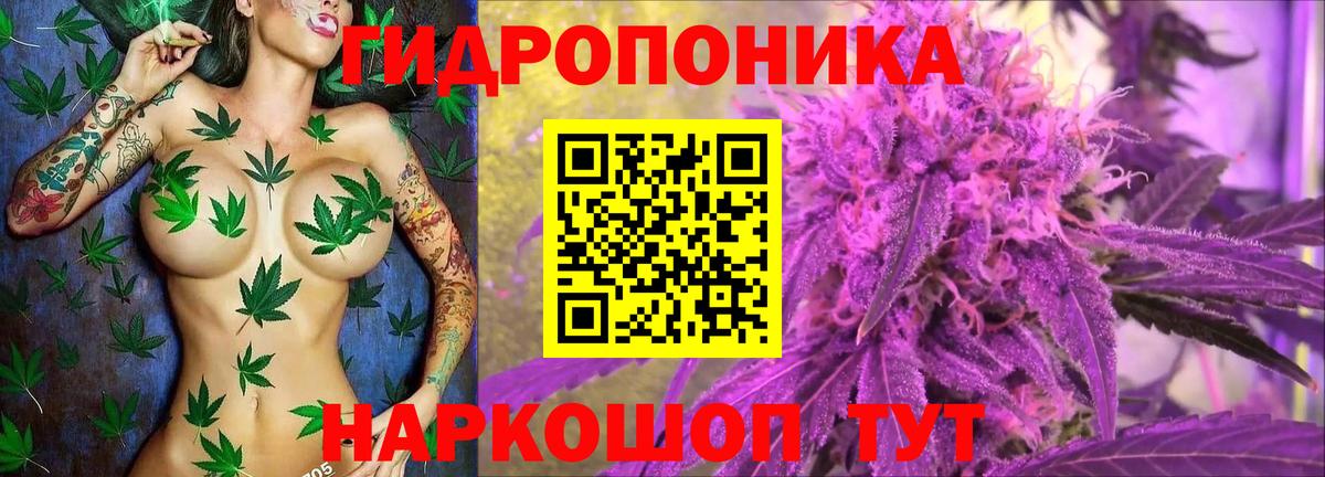 Щёлково  Марихуана ГИДРОПОН  Вход с VPN  Каннабис Bruce Banner  Канабис VHQ 